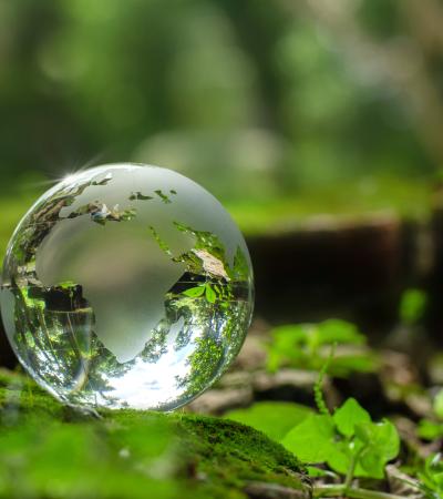 Earth Day concept with crystal globe catching sunlight on a bed of moss