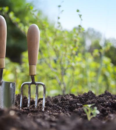 hand trowel and fork standing in garden soil with background of greenery