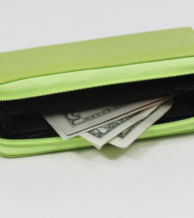 Wallet with money