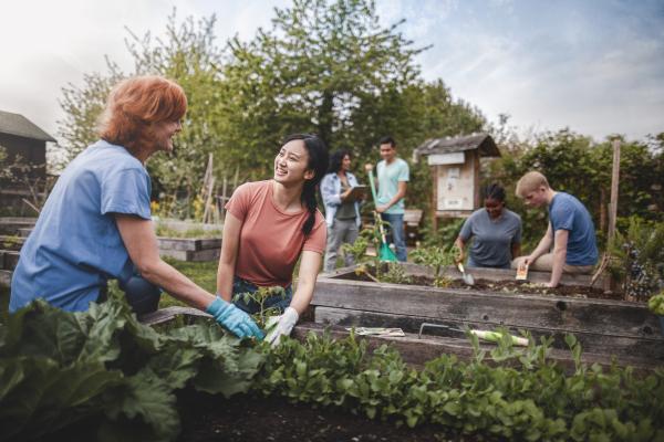 Photograph of a group of people gardening together