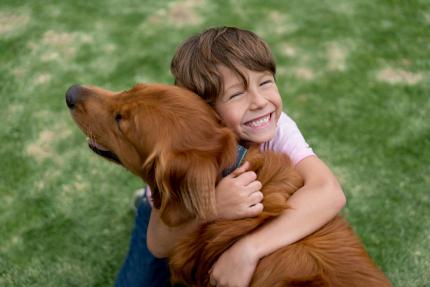 Joyful boy hugging happy golden retriever on grassy lawn