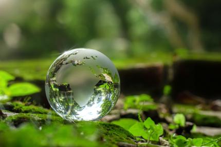 Earth Day concept with crystal globe catching sunlight on a bed of moss