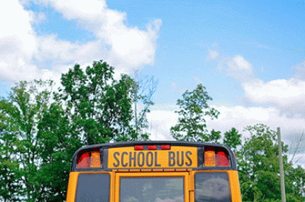 Back end of school bus against trees and sky