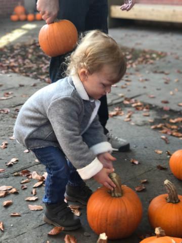 Child picking out a pumpkin