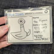 Photograph of a "driver's license" of The Pigeon