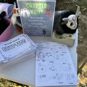 Cryptid hand outs and coloring pages