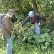 Photograph of two people looking at plants outside