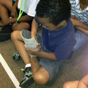 Child touching shark skin