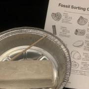 Photo of materials needed for fossil dig