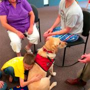 Participant with dog