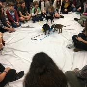 Teens and tweens play with the puppies.