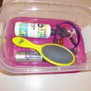 Hair styling kit