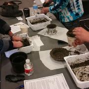 Hypertufa mushroom program participants