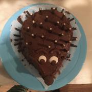 Photo of a hedgehog cake