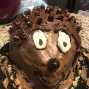 Photo of a hedgehog cake