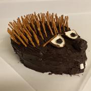 Photo of a hedgehog cake