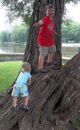 Boys climb a tree on their own.  Photo by author.