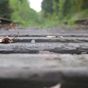 Close up of the Cross Kirkland Corridor, a former railroad right of way extending through the entire city of Kirkland, Washington  (Elsa Steele)