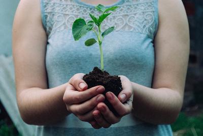 Hands holding soil with plant growing out of it